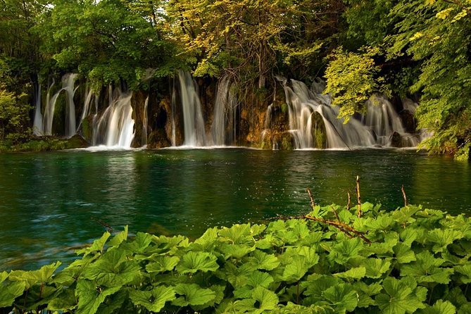 Plitvice Lakes Guided Tour - Starting at entrance 1, then settling into the park rhythm