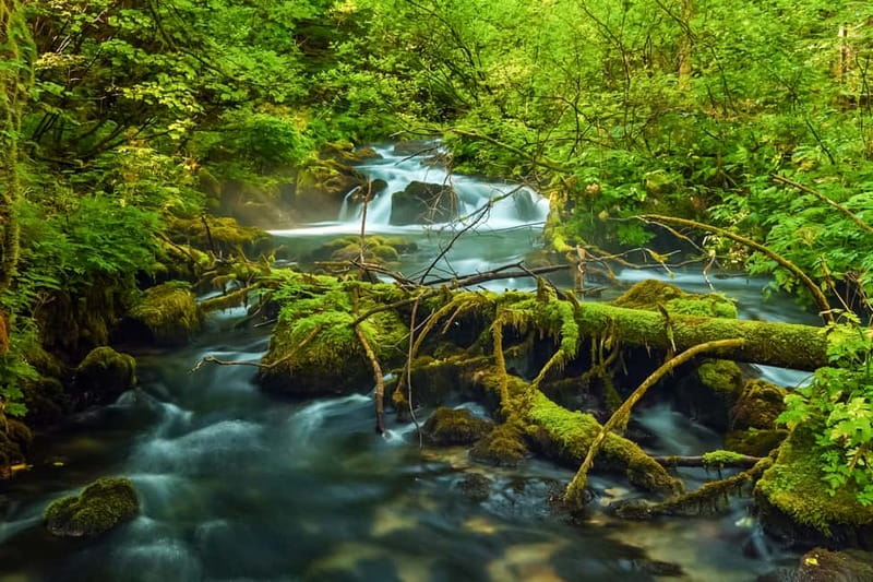 Plitvice Lakes: Guided Walking Tour with Train and Boat Ride - Entrance 1 and the circular route that keeps you oriented