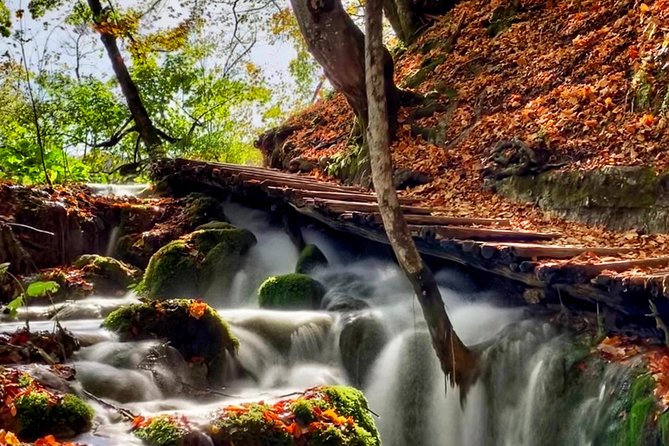 Plitvice Lakes National Park - private day-trip from Zagreb - A private Zagreb to Plitvice day, built for comfort and control
