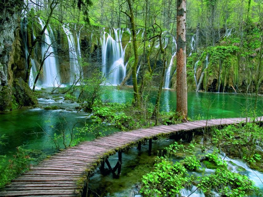 Plitvice Lakes National Park: Private Tour from Zadar - Scenic viewpoints and flexible pacing, not a one-size-fits-all schedule