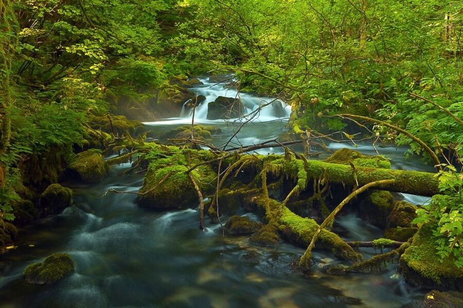 Plitvice Lakes Private Guided Tour - What your time looks like inside the park: photo stops, guided walks, and transport breaks