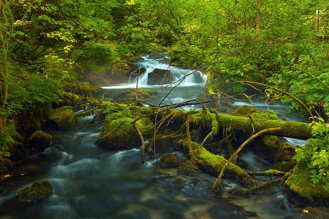 Plitvice Lakes Private Guided Walking Tour - Pickup, Meeting Point, and the 3 to 6 Hour Time Window