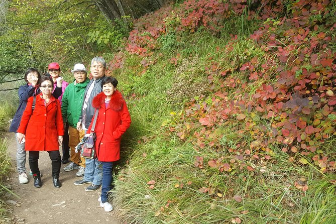Plitvice Lakes Private Tour from Zagreb - Flexible Schedule - Price and value: what $738.86 per group really buys