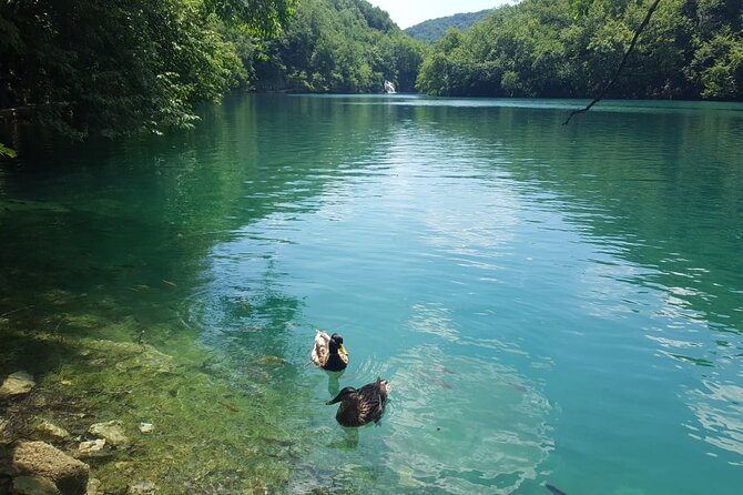 Plitvice Lakes Small Group Tour Ecco from Split or Trogir - Key Things I’d Watch Before You Go