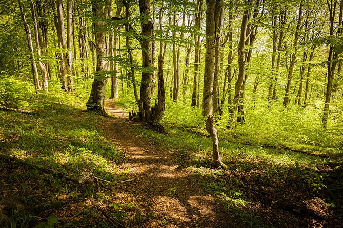 Plitvice Lakes Tour from Split with Entrance Ticket included - Plitvice Lakes National Park, your 4-hour window of magic