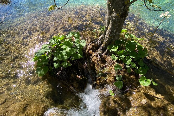 Plitvice private tour driver + guide up to 8 ppl from Zadar - Timing that protects your day, especially on cruise days