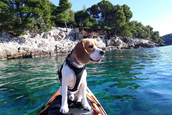 'Pomalo' Guided Sea Kayaking Tour in Cavtat - A Pomalo Morning on the Adriatic Coast of Cavtat