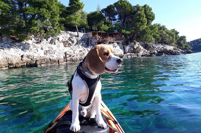 'Pomalo' Guided Sea Kayaking Tour in Cavtat - Weather Matters, and the Guide Works With It