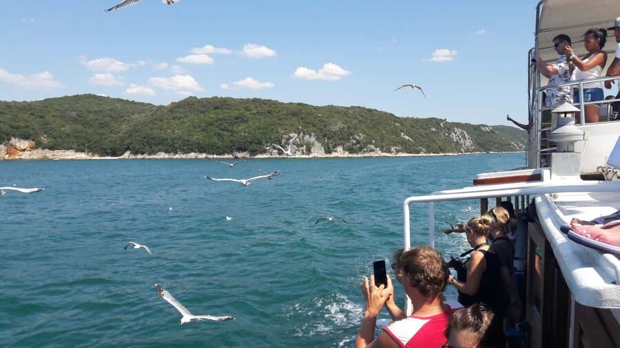 Poreč: Boat tour to Rovinj with lunch and drinks - Key things to know before you go