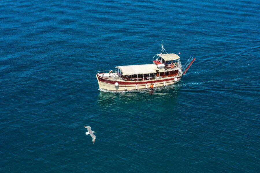 Poreč: Panoramic Morning Cruise Among 20 Islands with Drinks - What to Pack, What to Expect, and Practical Tips