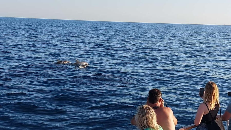 Poreč: Sunset Dolphin Safari with Dinner and Drinks - Ship Manon at Port Poreč, and how to start this evening
