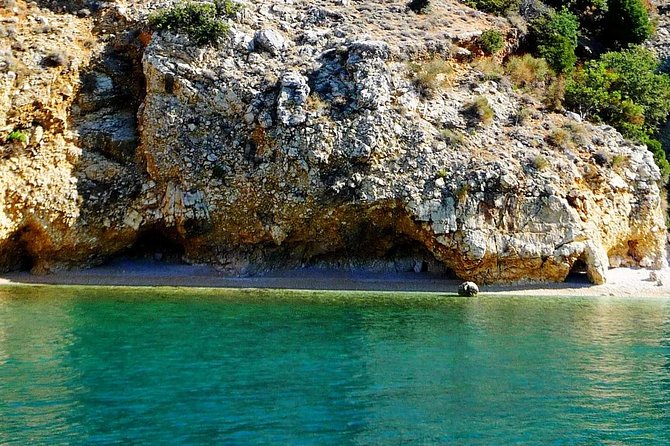 Private 7,5h Plavnik Island & Wild Bays Full-day Boat Trip - Otok Plavnik: Griffon Vultures and Love Cave Views
