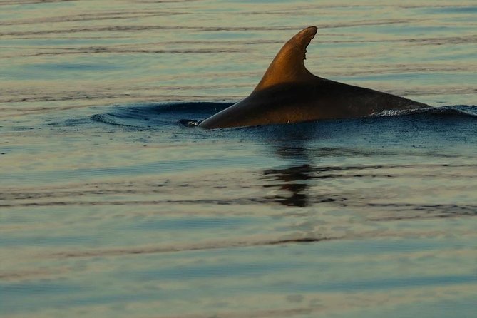 Private 7,5h Plavnik Island & Wild Bays Full-day Boat Trip - Who this boat trip suits best (and who might find it less ideal)