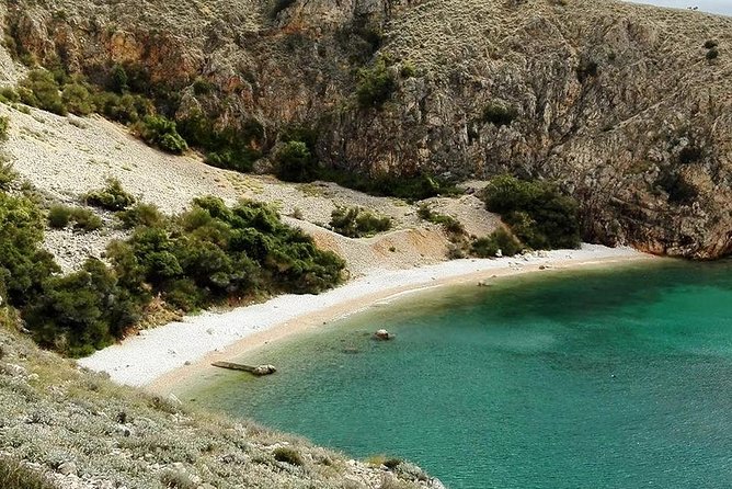 Private 7,5h Plavnik Island & Wild Bays Full-day Boat Trip - Meeting in Punat and What the 7.5 Hours Is Like