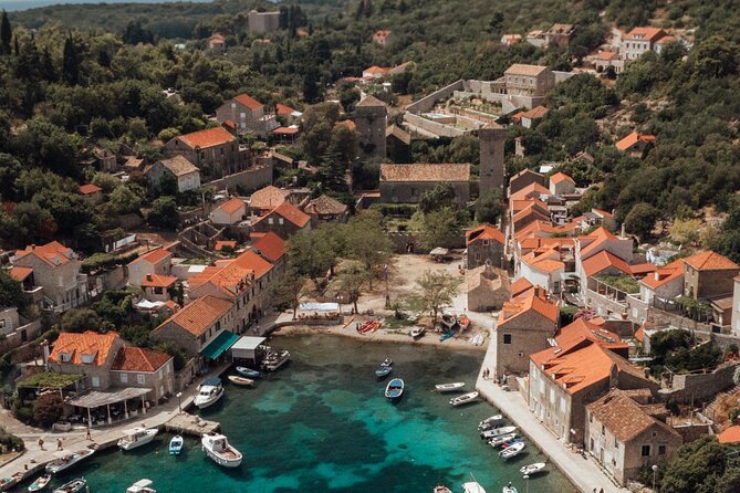 Private Boat Tour to Elafiti Islands - Šipan on the full 8-hour option: olive and pine, plus island life