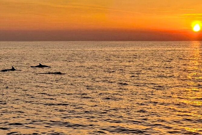 Private Boat Tour with activities in Pula Croatia - Fazana Water Time and Fishing Options: Mix and Match