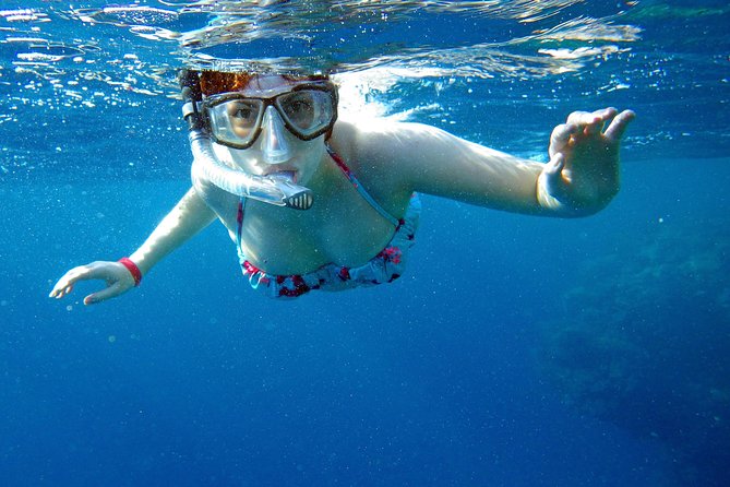 Private Boat Tours Dubrovnik Elaphiti islands & Blue cave - Picking 4 vs 8 Hours: How Much Water Time You Actually Want