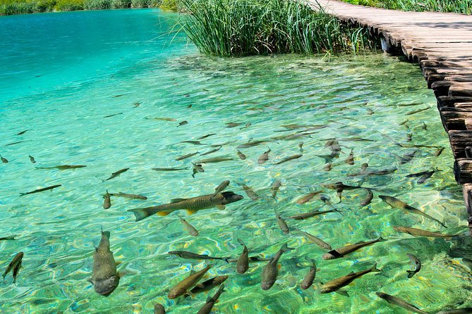 Private experience of Rastoke and Plitvice Lakes from Zagreb - Rastoke village: a 30-minute break that actually feels useful