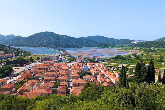 Private Full Day Peljesac Wine Tasting Tour from Dubrovnik - The food stop: lunch or oysters at your own expense