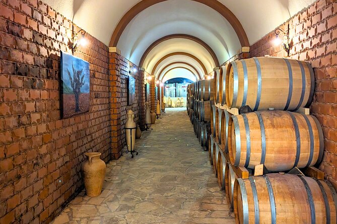 Private Full Day Peljesac Wine Tasting Tour from Dubrovnik - Guide names to watch for: Daniel, Danijel, and Iva