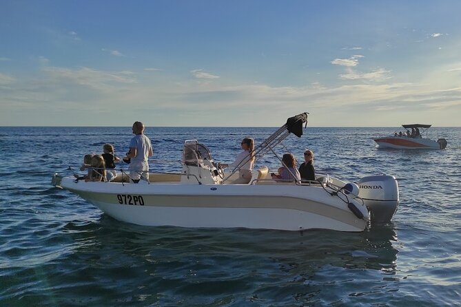 Private Guided Sunset Dolphin Watching in Adriatic Sea - The skipper experience: your questions, your boat placement, your dolphin respect