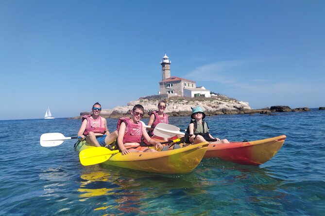 Private Guided Sunset Dolphin Watching in Adriatic Sea - Private boat value: why this can cost less than you think