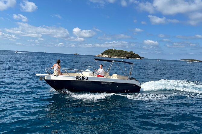 Private Guided Sunset Dolphin Watching in Adriatic Sea - Tips to help your dolphin watch feel magical, not stressful