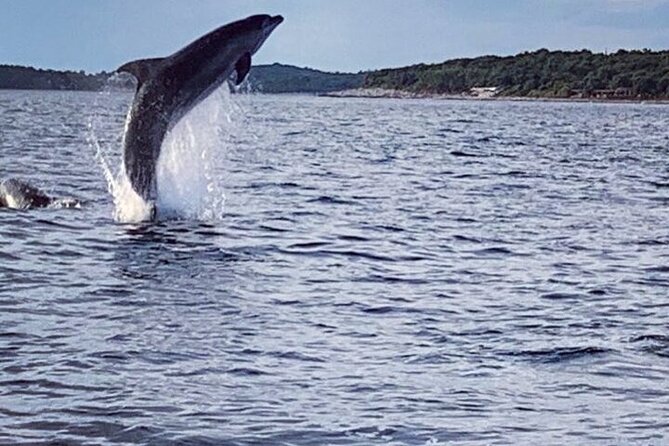 Private Guided Sunset Dolphin Watching in Adriatic Sea - Weather and what it means for your plans