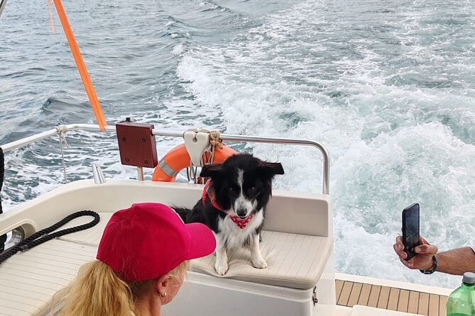 Private Half-Day Boat Excursion in Pula - Snacks, drinks, and onboard comfort for a 6-hour day