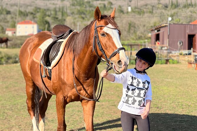 Private Horseback Riding and Family Time in Konavle Region - Key highlights at Mali Raj Konavle Horse Ranch