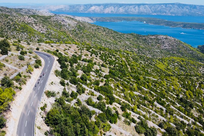 Private Hvar Island Bike Tour and Wine Tasting - Lacman Family Winery: Natural Wine Tasting With Island Views and Food