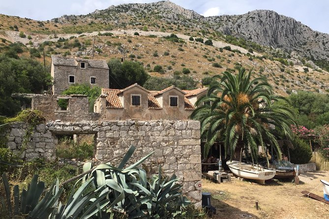 Private Hvar Island Tour and Olive Oil Tasting - The olive oil stop in Svirče: tastings that actually teach you something