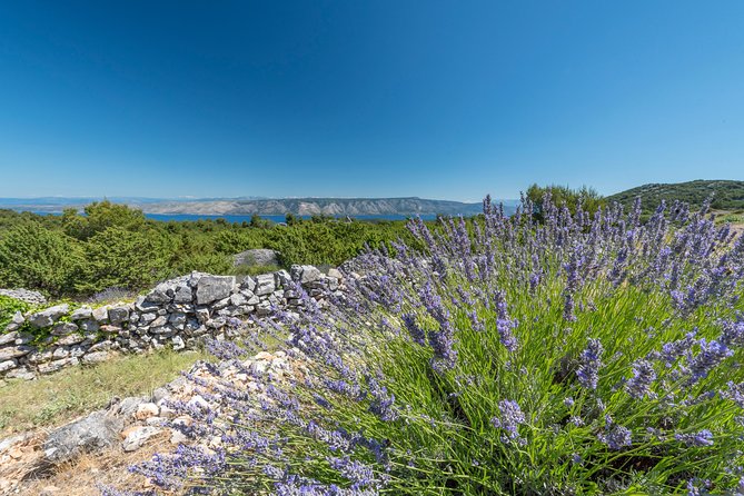 Private Hvar Wine Tasting Tour - Timing and what to wear: small planning that pays off