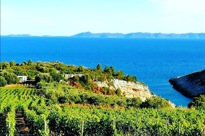 Private Korcula wine tour and tasting - Smokvica Stop: Posip History, Castle Grounds, and a Short Worthwhile Break