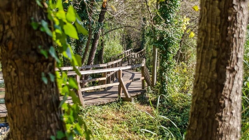 Private Krka National Park & Klis Fortress from Split - From Split to Krka: a smooth private start