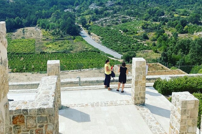 Private Round-Trip Airport Transfer in Dubrovnik - Your driver as a local translator for food and plans