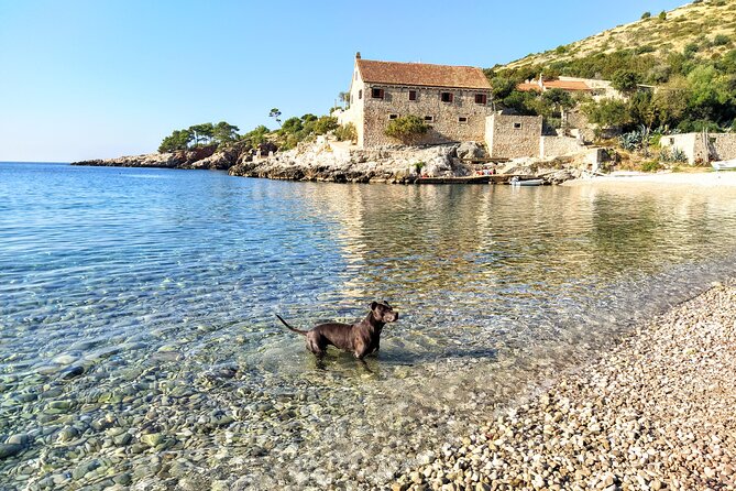 Private Speed Boat Tour of Hvar South Shore & Pakleni islands - Dubovica Beach: your main relax block on the Hvar side