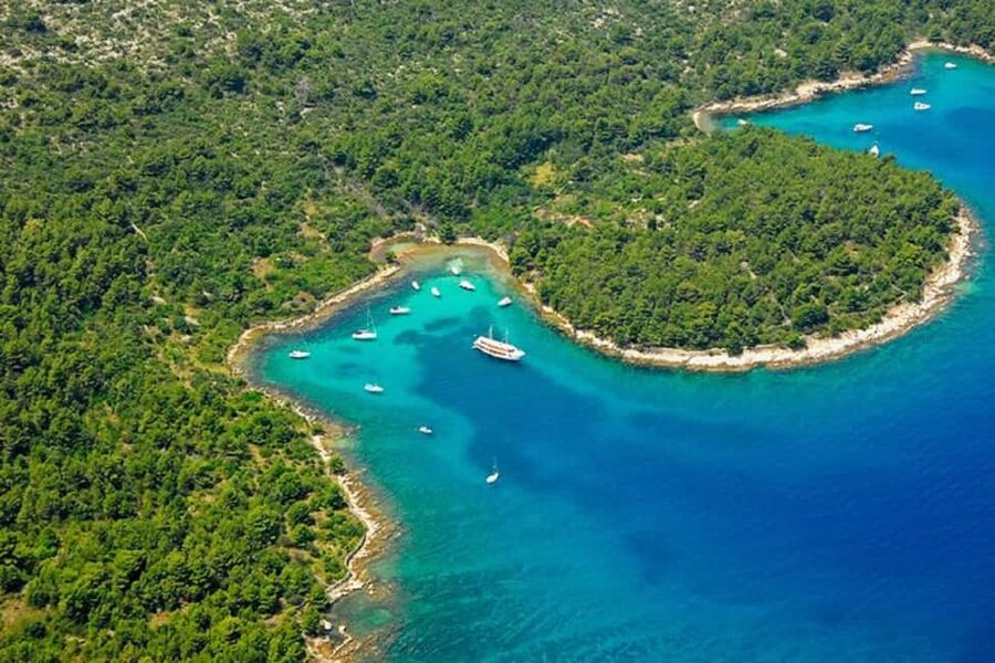 Private speedboat adventure to Zadar Islands with drinks - Key points that make this boat day worth it