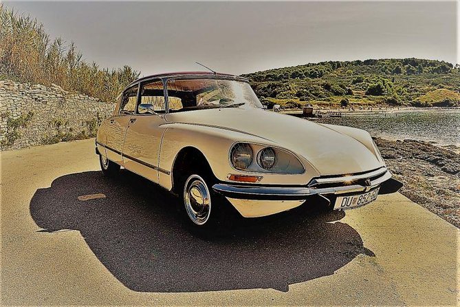 Private Tour of Dubrovnik with Legendary Classic Car Old-Timer - Trsteno: the 50-meter plane tree and a quick, charming reset