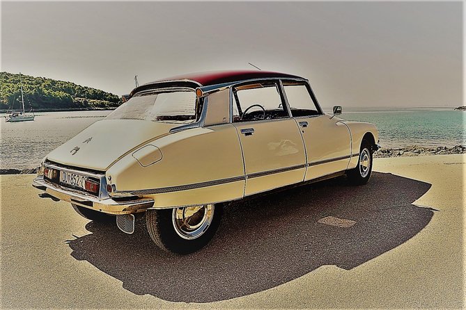 Private Tour of Dubrovnik with Legendary Classic Car Old-Timer - Trsteno Arboretum: renaissance gardens, exotic plants, and war damage