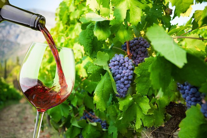 Private Tour: Ston and Peljesac Peninsula Day Trip with Wine Tasting - Key things to know before you go