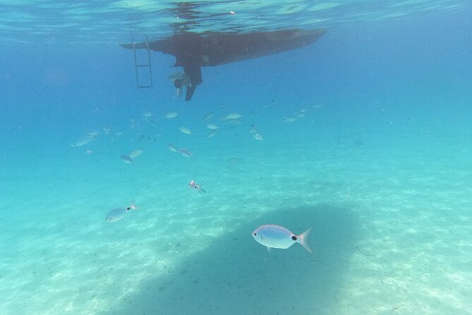 Private tour to Islands Ugljan, Ošljak and Preko from Zadar - Snorkeling setup: what you’re really buying
