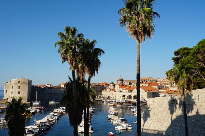 Private transfer from Split to Dubrovnik - Real-world expectations: timing, driver style, and safety