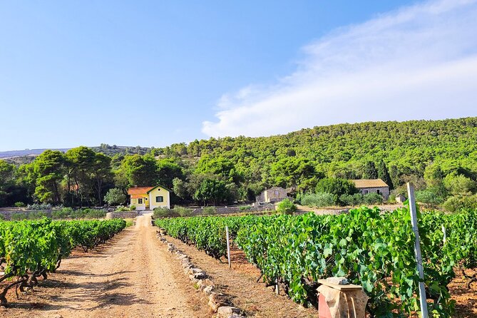 Private Wine and Gin Tour Around the Island of Korcula - Price And Value: Why $264.64 Can Make Sense