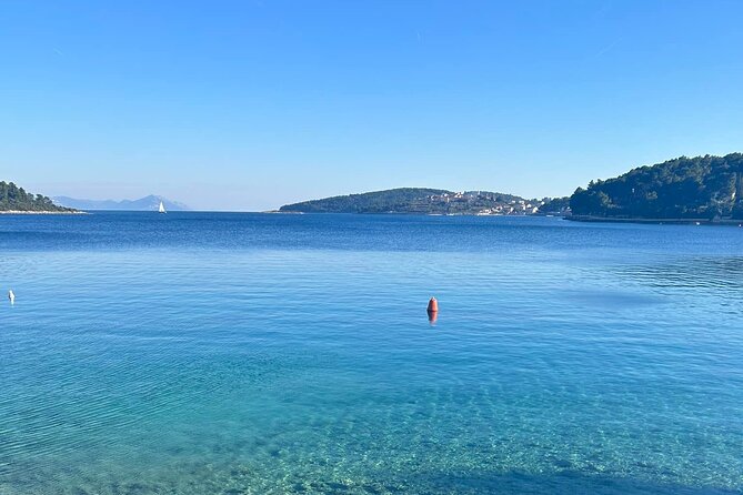 Private Wine and Gin Tour Around the Island of Korcula - Who Should Book This Korčula Wine And Gin Tour