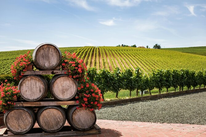 Private Wine Tour from Zagreb: Two Local Wineries & Samobor - Why Samobor and Plešivica work so well for a wine day