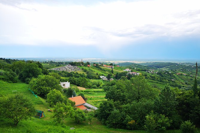 Private Wine Tour from Zagreb: Two Local Wineries & Samobor - Guide and pacing: what you can expect from Tomislav and the timing