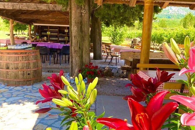 PRIVATE Wine Tour to Konavle country side - The winery stop: a 500-year-old family operation with a real sense of welcome