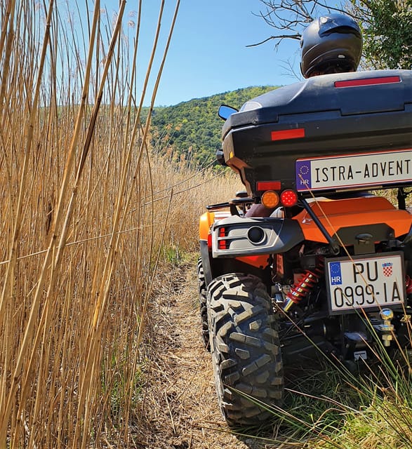 Pula and Rovinj: 1, 2, or 4-Hour Istra Quad Safari - The 2-hour Barban Panorama Tour, forests plus the Puntera view