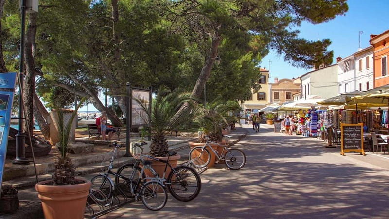 Pula: Brijuni National Park Cruise, Lunch and Fažana Beach - Weather and itinerary changes, what to expect and how to handle them